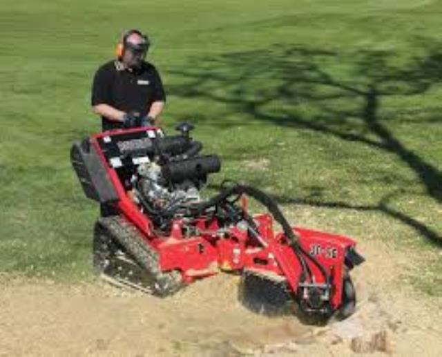 Where to find GRINDER, STUMP TRACK BARRETO E30SG in Altus