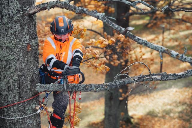 Where to find HUSQVARNA T435, 14 CHAINSAW in Altus