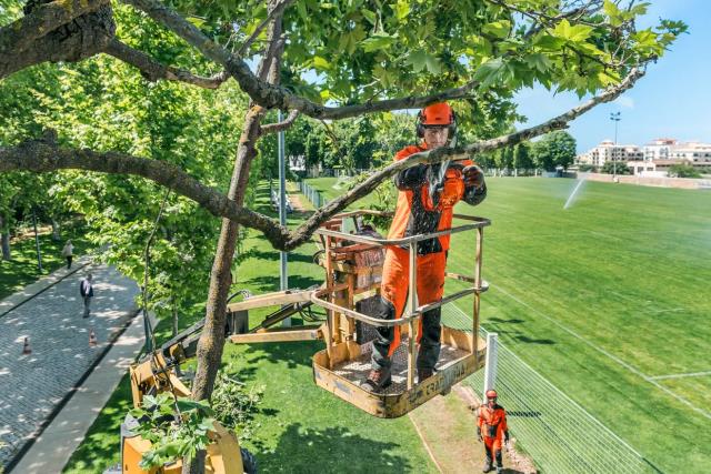 Where to find HUSQVARNA T435, 12 CHAINSAW in Altus
